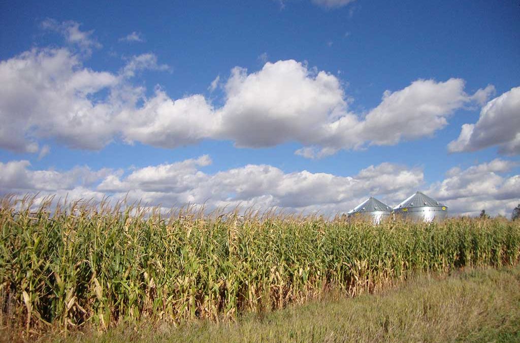 Bennett County Cropland
