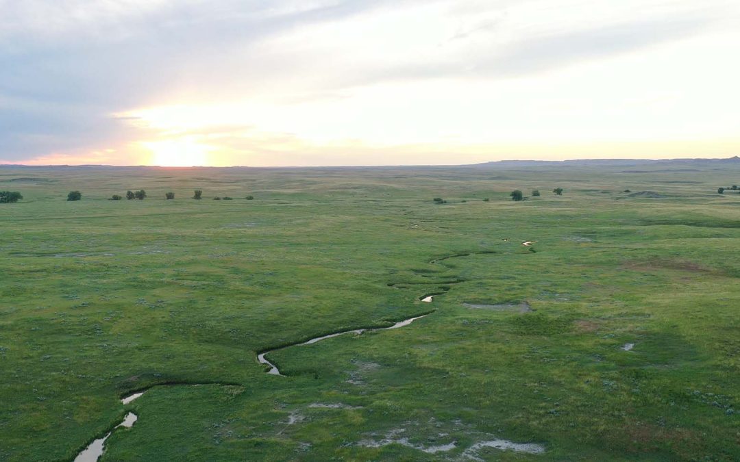 Floden Ranch Auction