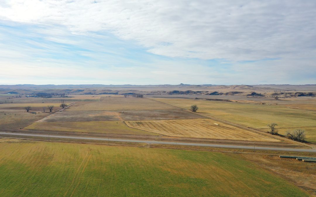 Harrington Ranch – South Forty