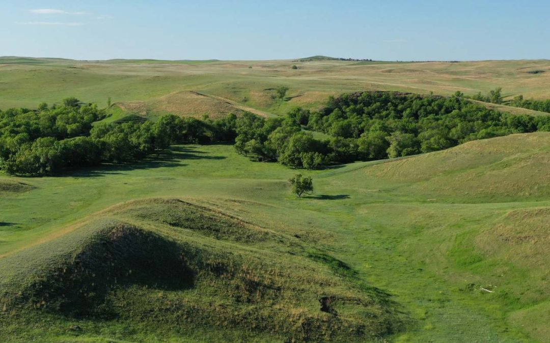 LA Shuck & Sons Absolute Ranch Auction