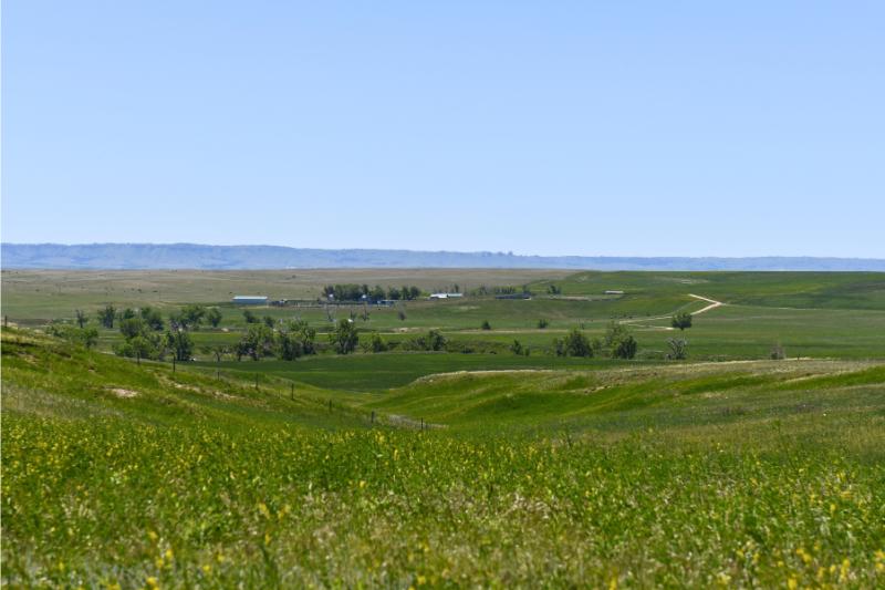 Sweetman Ranch