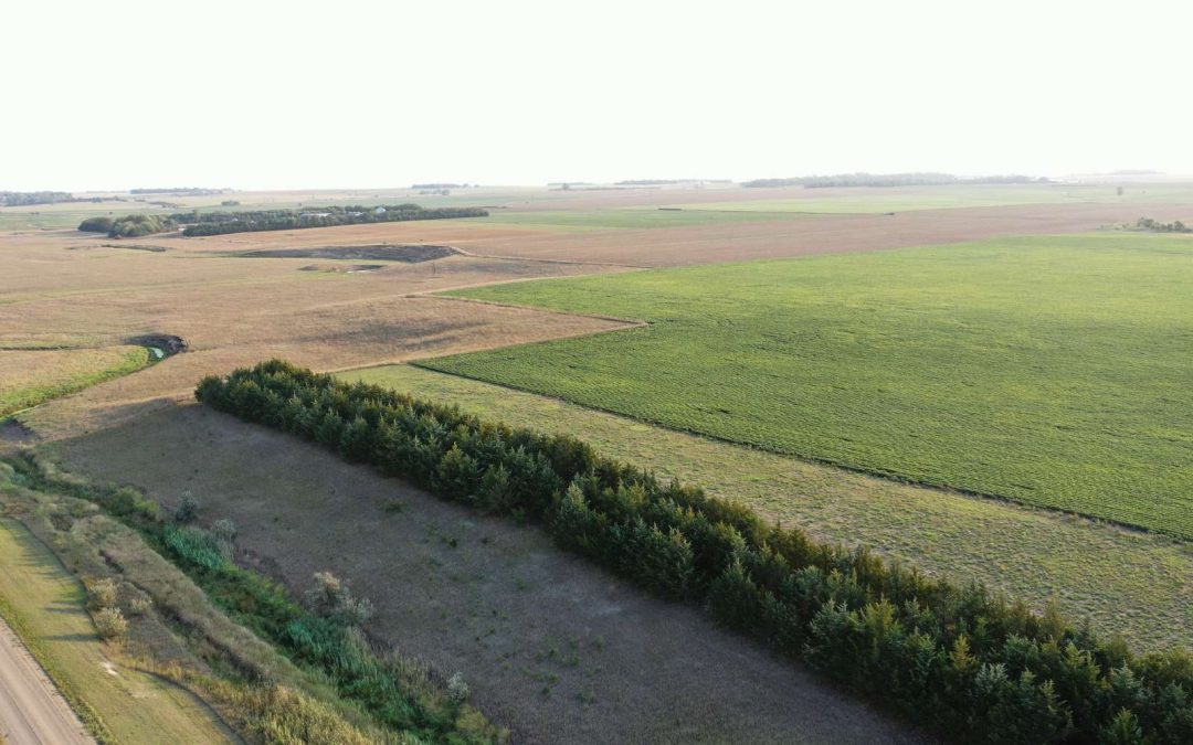 Nepodal Estate Farmland Auction