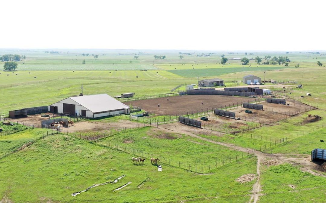 Rolling T Ranch