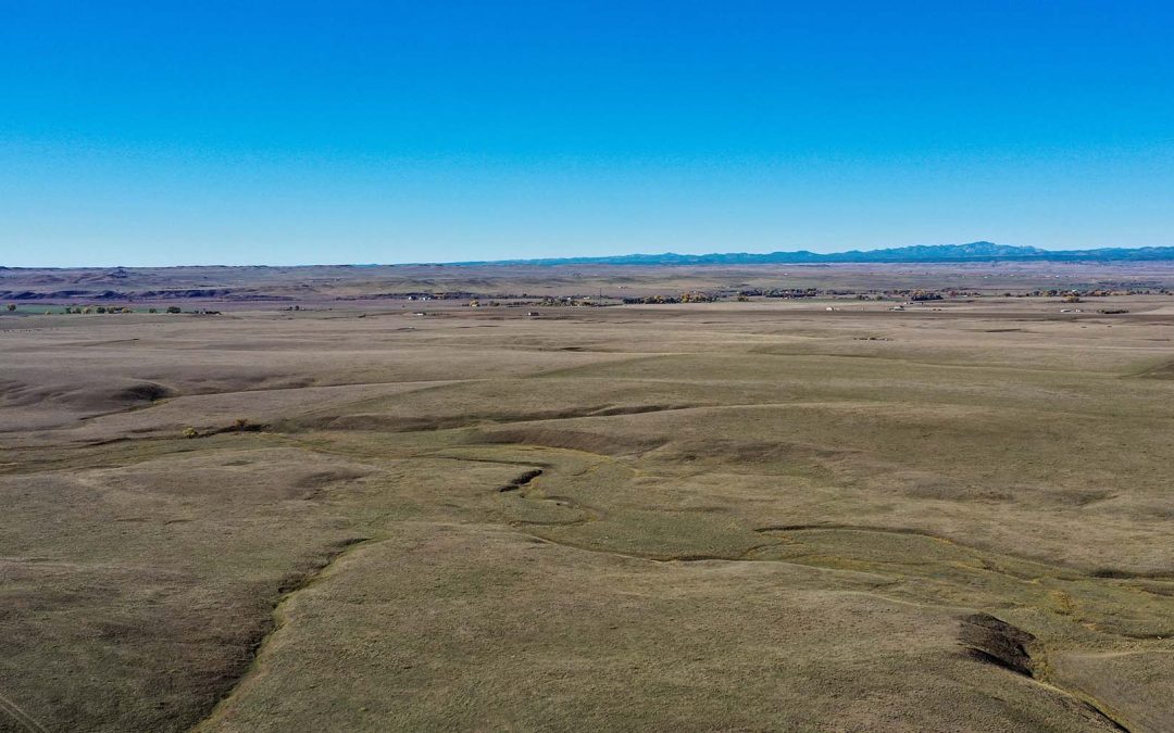 Kenneth Brown Estate Real Estate Auction