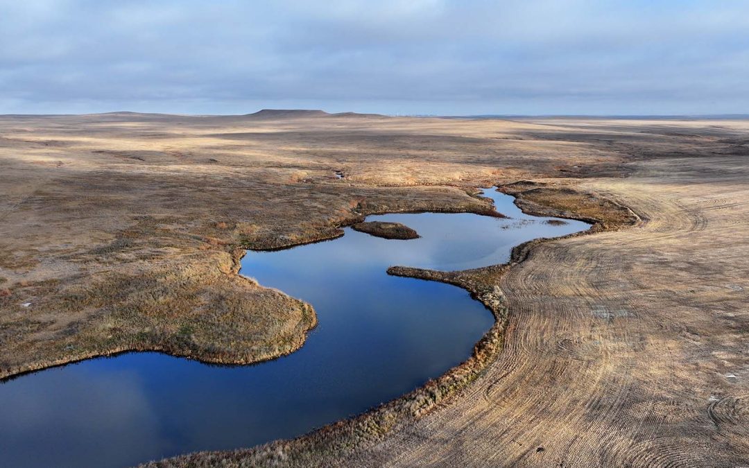 Lodahl Farms- Holloway Unit