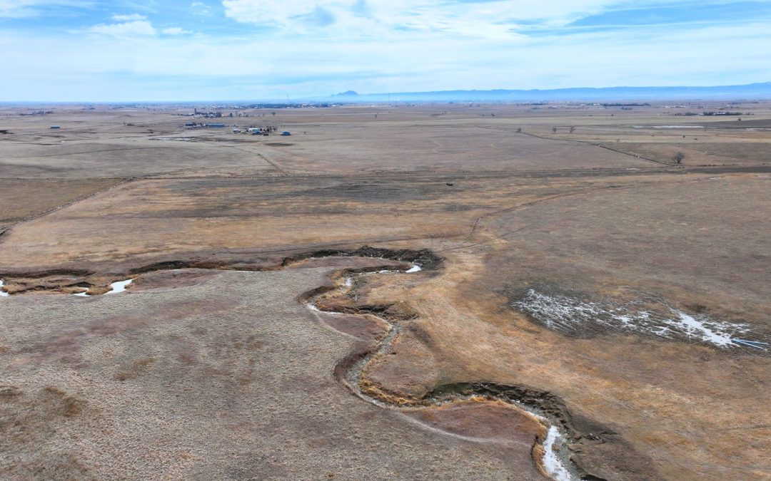 Piekkola Property Absolute Real Estate Auction