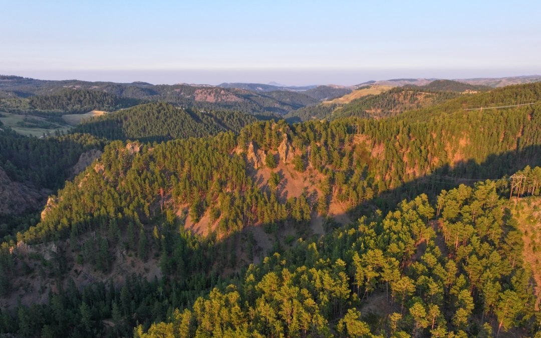 Cutting Mine Deadwood Creek