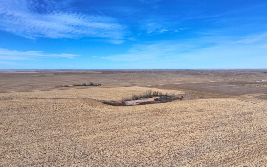Bussewitz Farmland Land Auction