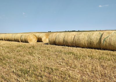 Crew Ag LLC Hay Auction