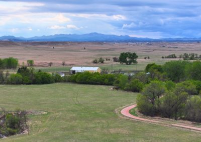 Kenneth brown Ranch Auction