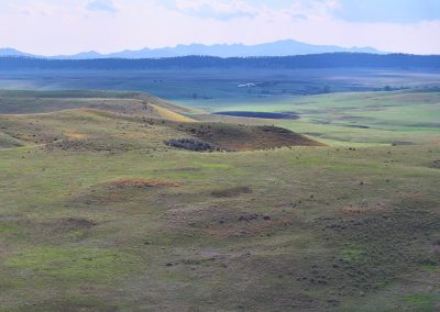 Deschamp Ranch Real Estate Auction